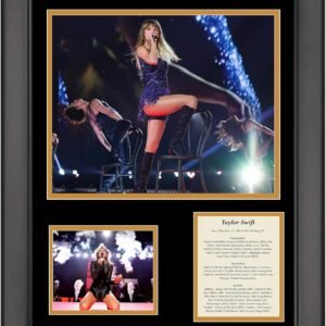 1742761451 HOFSMCOM Hall of Fame Sports Memorabilia Framed Music Concert Tour.jpg