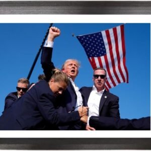 Generic Donald Trump Picture Frame11 x 8 Donald Trump HD.jpg
