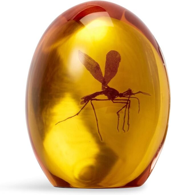 Jurassic Park Mosquito In Amber Resin Prop Replica Official Jurassic Park Collectible Paper Weight Measures 3 Inches Tall.jpg