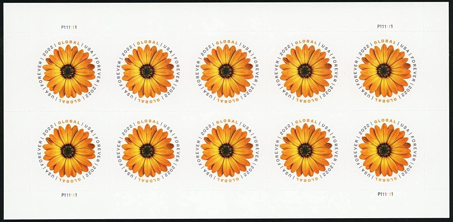 USPS African Daisy 2022 Sheet of 10 International Mail Global Postage Forever Stamps Scott 5680.jpg