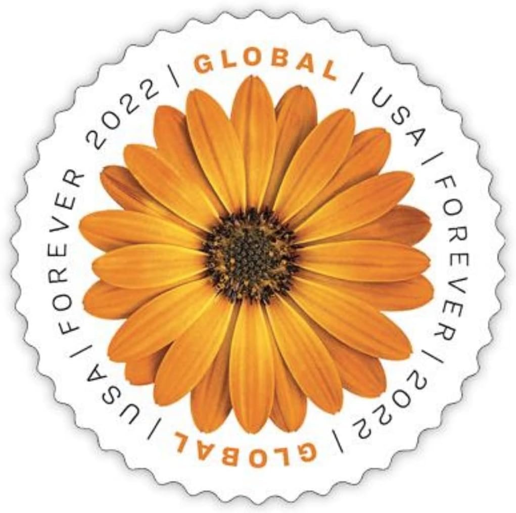 USPS African Daisy 2022 Sheet of 10 International Mail Global.jpg