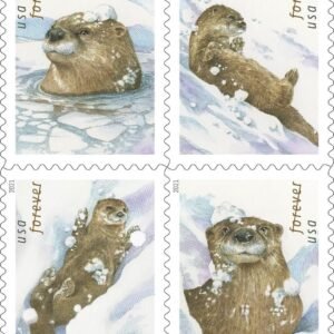 United States Postal Service Otters in Snow Postage Stamps 1.jpg