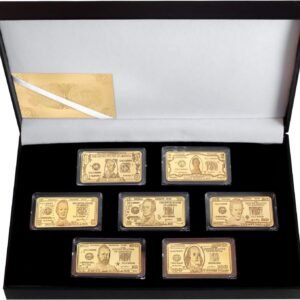 WR 7pcslot US Dollars Challenge Gold Bar with Coin Holder.jpg