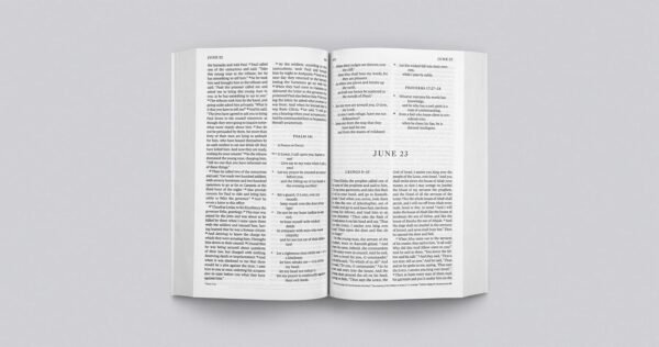 1747963480 ESV Every Day Bible 365 Readings through the Whole Bible Paperback.jpg