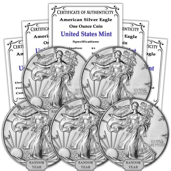 1986 Present Random Year Lot of 5 1 oz.jpg