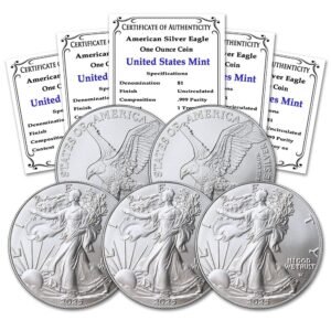 2025 Lot of 5 1 oz American Silver Eagle.jpg