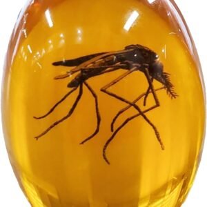 Jurassic Mosquito in Amber Durable Resin Encased Detailed 2D.jpg
