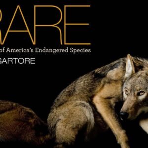 Rare Portraits of Americas Endangered Species.jpg