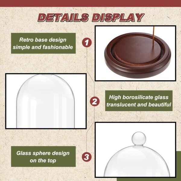 1749180254 2 Pcs Pocket Watch Glass Display with Hooks Dome Cloche with Wood Base Decorative Dome Showcase for Watch Plants Medals Photos Collectibles Dark MDF Base.jpg