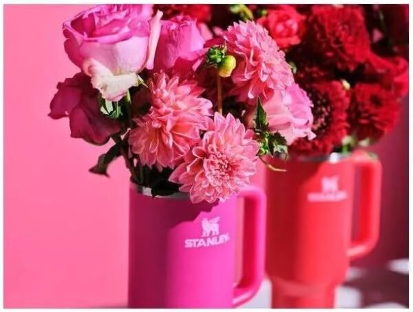 1749212651 STANLEY 40 oz. Quencher H2.0 Valentines Day Tumbler Cosmo Pink.jpg