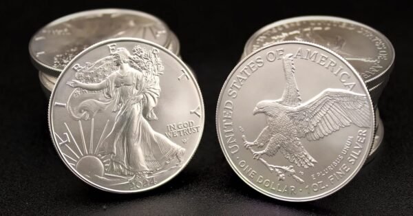 1749824655 2024 Lot of 5 1 oz American Silver Eagle Coins Brilliant Uncirculated with Certificates of Authenticity 1 Seller BU.jpg