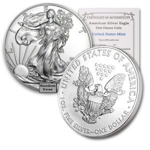 1986 2021 Random Year 1 oz American Silver Eagle Coin Type.jpg