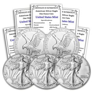 2024 Lot of 5 1 oz American Silver Eagle.jpg