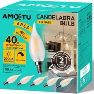 AMDTU E12 40 Watt Equivalent Frosted Small Base LED Bulb.jpg
