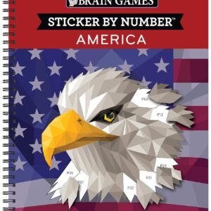 Brain Games Sticker by Number America 28 Images to.jpg
