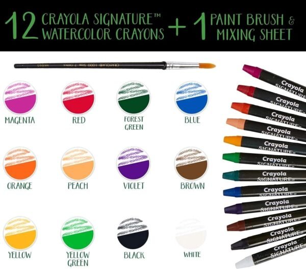 Crayola Signature Premium Watercolor Crayon Sticks Paintbrush 12 Count Gift.jpg