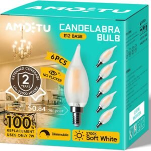 E12 100W Equivalent Frosted LED Candelabra Bulb CA10 Dimmable Small.jpg