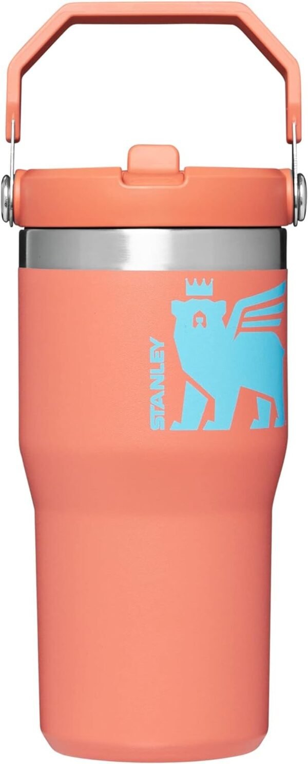 Stanley Classic IceFlow Flip Straw Tumbler for Kids 8 or.jpg
