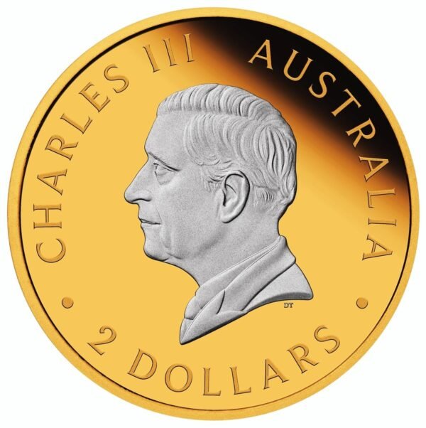 1752485088 Kangaroo 2 oz silver reverse gilded coin.jpg