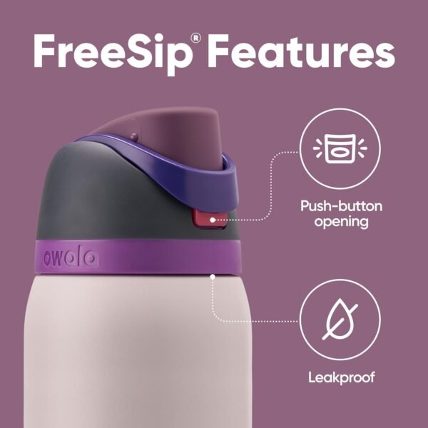 1753352650 Owala FreeSip Insulated Stainless Steel Water Bottle with Straw for Sports Travel and School BPA Free Sports Water Bottle 32 oz Dreamy Field.jpg