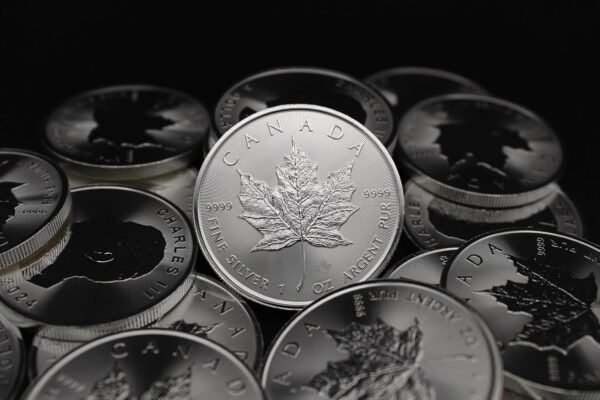 2023 Lot of 10 1 oz Canadian Silver Maple Leaf Coins Brilliant Uncirculated with Certificates of Authenticity 5 Seller BU.jpg
