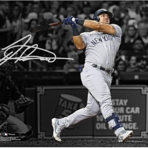 Jasson Dominguez New York Yankees Autographed 11 x 14 Home.jpg