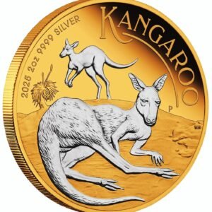 Kangaroo 2 oz silver reverse gilded coin.jpg