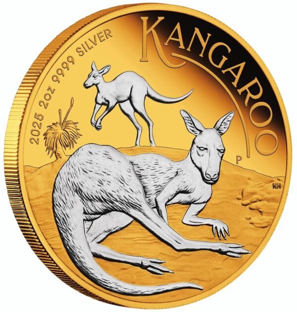 Kangaroo 2 oz silver reverse gilded coin.jpg