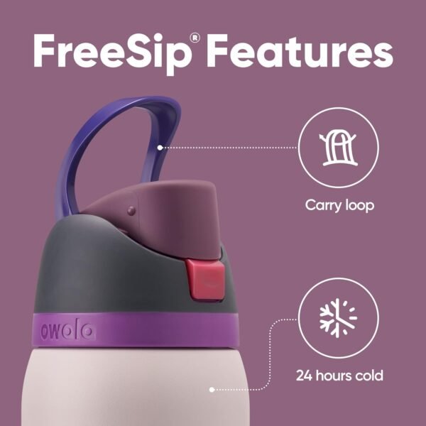 Owala FreeSip Insulated Stainless Steel Water Bottle with Straw for Sports Travel and School BPA Free Sports Water Bottle 32 oz Dreamy Field.jpg