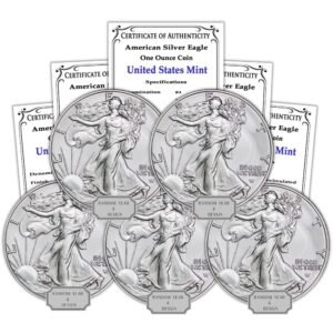 1986 Present Random Year Lot of 5 1 oz.jpg