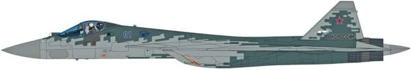 HOBBY MASTER 172 Su 57 Stealth Fighter wR 77 R 37 Finished.jpg