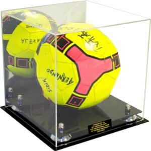 Better Display Cases Acrylic Display Case for Collectibles Full Size.jpg